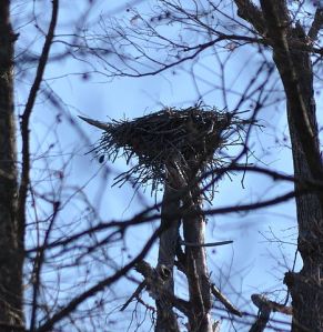 Photo by Albert Herring